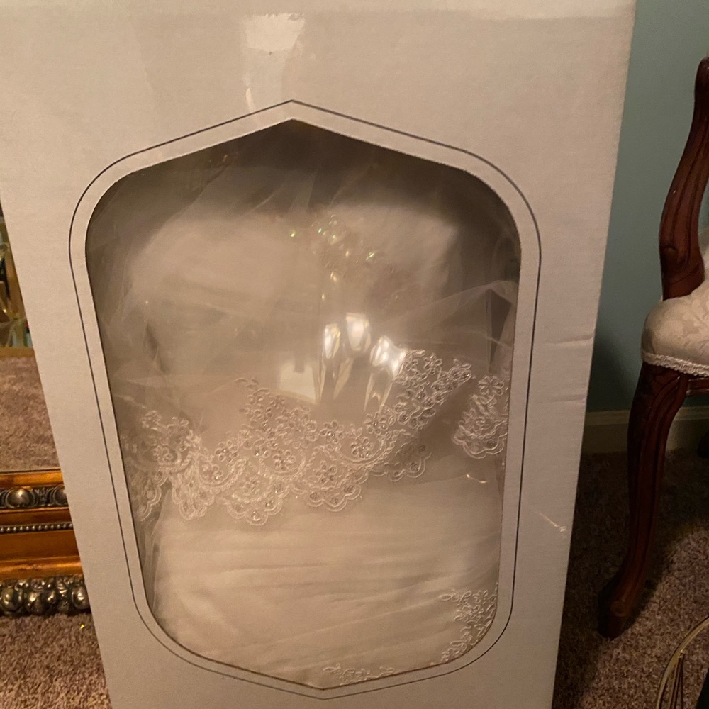 Bridal gown, floor length veil,crinoline slip